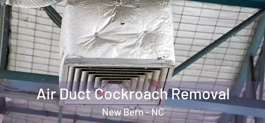 Air Duct Cockroach Removal New Bern - NC