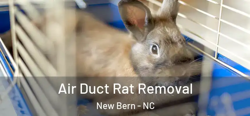 Air Duct Rat Removal New Bern - NC