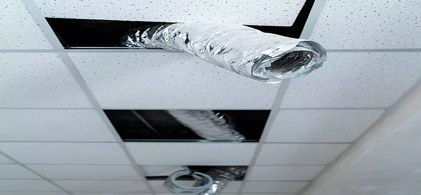 Our Air Duct Pet Hair Removal Services in New Bern, NC