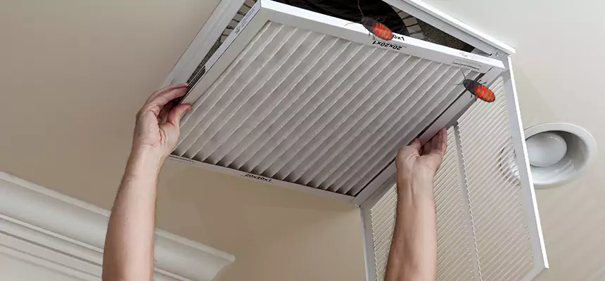 Our Insect Removal from Air Ducts Services in New Bern, NC