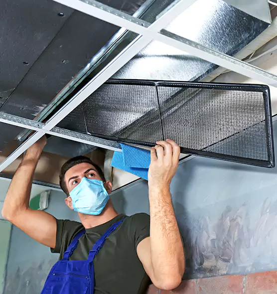 About Air Duct Bacteria Removal in New Bern