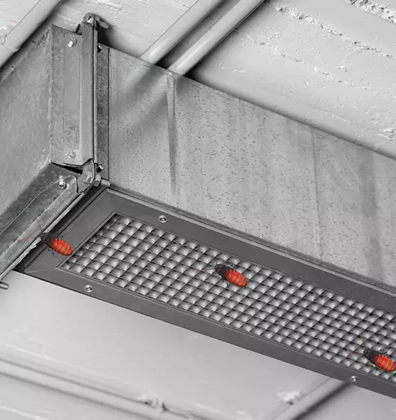 About Air Duct Cockroach Removal in New Bern, NC