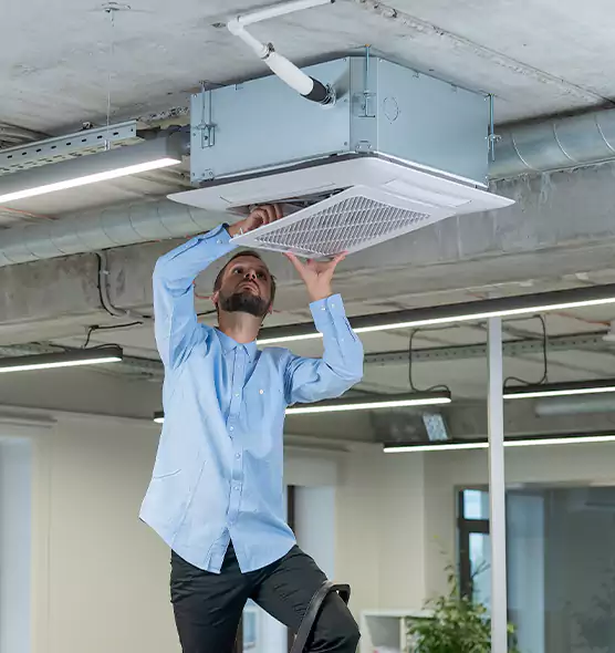 Advanced Rodent Droppings In Vents in New Bern, NC