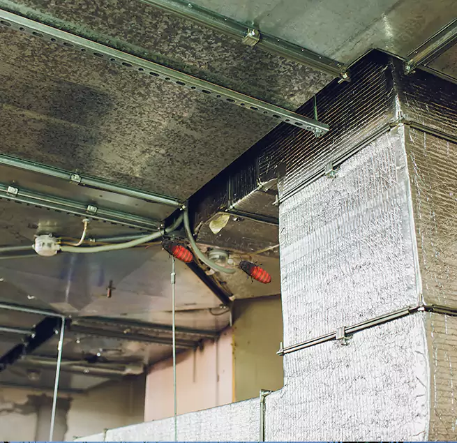 Why Homeowners & Businesses Trust Us in New Bern, NC?