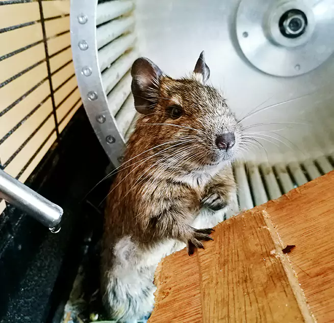 Why Homeowners & Businesses Trust Us New Bern, NC