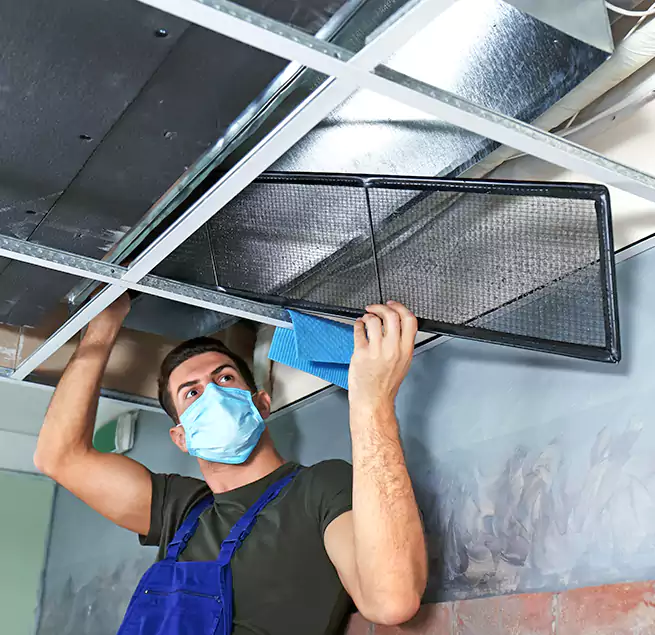 Why Homeowners Businesses Trust Us in New Bern, NC