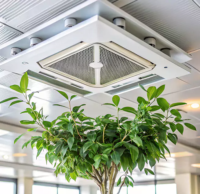 Why Homeowners & Businesses Trust Us in New Bern, NC?