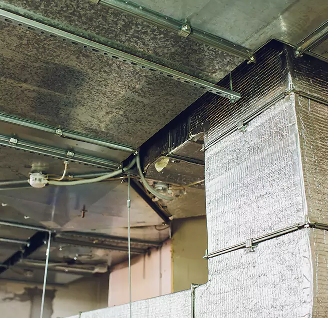 Why Homeowners & Businesses Trust Us in New Bern, NC?